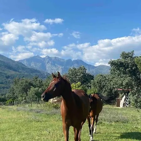 Finca Valdegrullas Candeleda